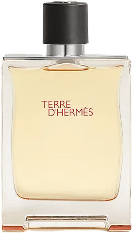 Hermès Terre d'Hermès Eau de Toilette bottle